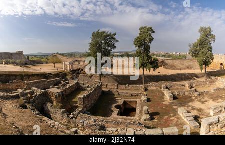 Merida, Spanien -- 28. März 2022:Blick auf die Ruinen und die Mauer der Festung Merida in Extremadura im Innenhof Stockfoto