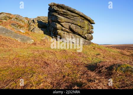 Der Cowper Stone, ein großer Gritstone-Felsen von Derbyshire, an den Hängen des Stanage Edge. Stockfoto