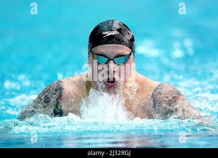 Adam Peaty von Loughborough NC in Aktion während der Men's Open 100m Breaststroke Heats am ersten Tag der British Swimming Championships 2022 im Ponds Forge International Swimming Center, Sheffield. Bilddatum: Dienstag, 5. April 2022. Stockfoto