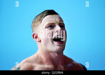 Adam Peaty von Loughborough NC in Aktion während der Men's Open 100m Breaststroke Heats am ersten Tag der British Swimming Championships 2022 im Ponds Forge International Swimming Center, Sheffield. Bilddatum: Dienstag, 5. April 2022. Stockfoto