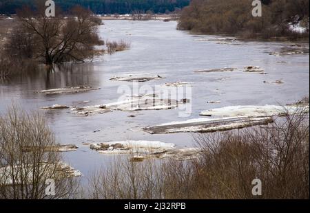 Weiße Eisschollen treiben langsam den Fluss hinunter. Frühling, Schnee schmilzt, trockenes Gras rundherum, Überschwemmungen beginnen und der Fluss überfließt. Tag, bewölktes Wetter, weiches warmes Licht. Stockfoto