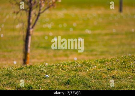 Ein Golfball im Vordergrund eines Golfplatzes Driving Range mit vielen Golfbällen im Hintergrund Stockfoto