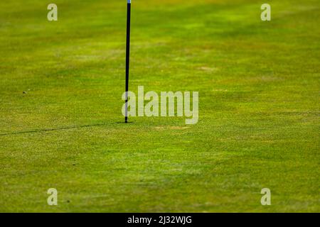 Eine Golfflagge steckt in einem Golfloch in einem gepflegten Rasen eines Grüns eines Golfplatzes in Deutschland Stockfoto