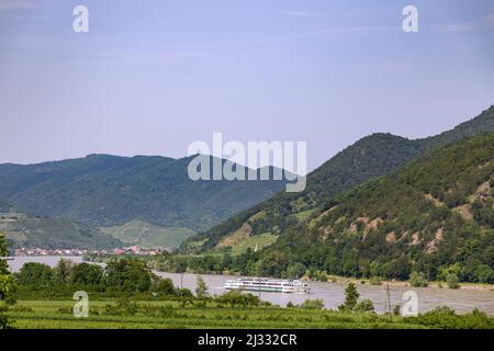 Wachau mit Kreuzschiff, Blick auf Spitz Stockfoto