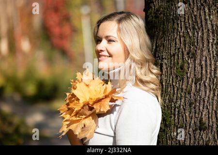 Die blonde Delightfu-Frau, die ein paar goldene Blätter mit Ahorn in den Händen in der Nähe der Brust hält, verschönert die Unschärfe. Nahaufnahme Stockfoto