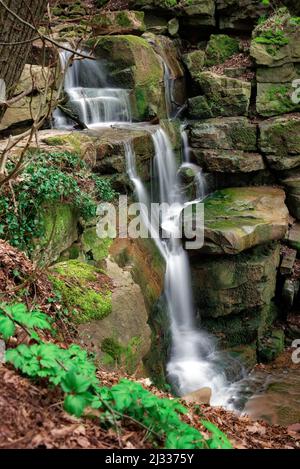 Im mittleren Teil der Margarethenschlucht, Naturpark Neckartal-Odenwald, Baden-Württemberg, Neckar, Deutschland. Stockfoto