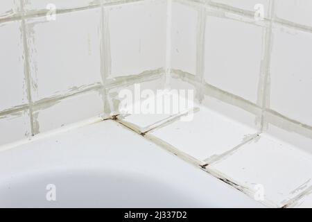 Mietschaden-Konzept: Schmutzige Fliesen über der Badewanne mit schwarzem Schimmel, der auf den Verfugungen der Fliesen in einem verwahrlosten alten Badezimmer wächst. Stockfoto