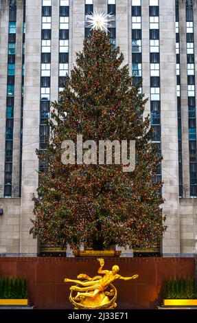 Weihnachtsbaum am Rockfeller Plaza Stockfoto