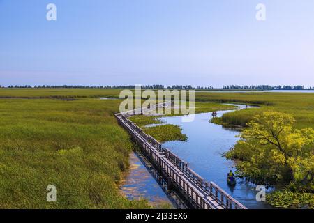 Point Pelee National Park, Marsh Board Walk, Kanufahrer Stockfoto