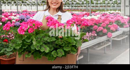 Nahaufnahme einer lächelnden Frau in einer Schürze mit roten Blumen in Töpfen. Arbeiterin, die verschiedene Pflanzen im Gewächshaus aussät. Gartenkonzept. Stockfoto