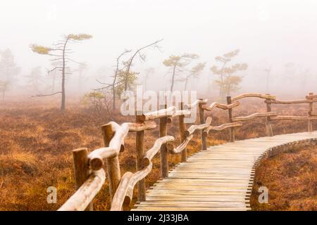 Neblige Herbststimmung in den Schwarzmoor, Fladungen, Rhön-Grabfeld, Unterfranken, Franken, Bayern, Deutschland, Europa Stockfoto