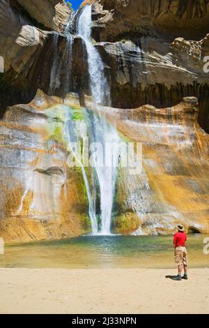 Mann betrachtet die Lower Calf Creek Falls, Grand Staircase Escalante National Monument, Utah, USA. Stockfoto