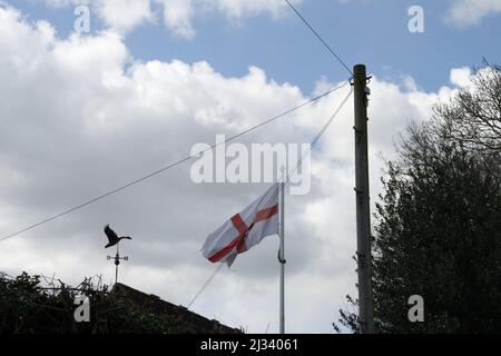 Entenweathervane und St. George's Flagge, Nordwind. Stockfoto
