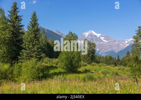 Mount Robson Provincial Park, Mount Robson Stockfoto