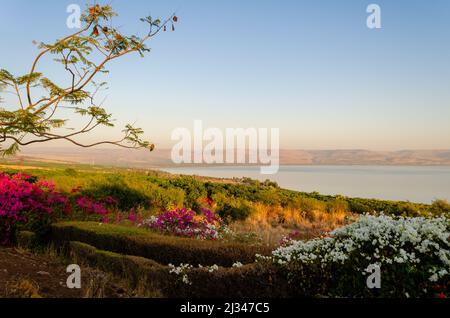 Blick auf das Galiläische Meer. Golan Heights. Schöne Landschaft mit malerischen Himmel und warmen Farben. Stockfoto