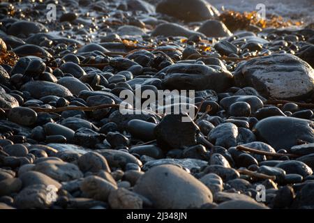 Jadejagd am Willow Creek Beach an der Südküste von Big Sur Stockfoto