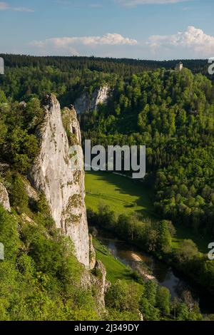 Blick von Stiegelesfelsen, bei Fridingen, Naturpark Obere Donau, Oberes Donautal, Donau, Schwäbische Alb, Baden-Württemberg, Deutschland Stockfoto