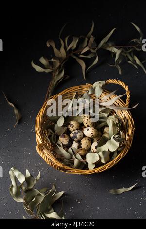 Wachteleier im Korb mit Eukalyptuszweigen Stockfoto