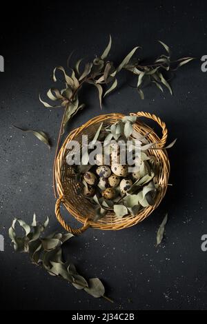 Wachteleier im Korb mit Eukalyptuszweigen Stockfoto