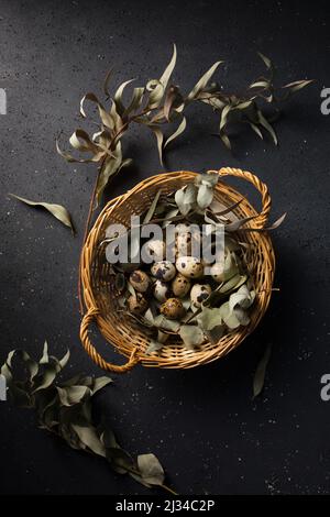 Wachteleier im Korb mit Eukalyptuszweigen Stockfoto