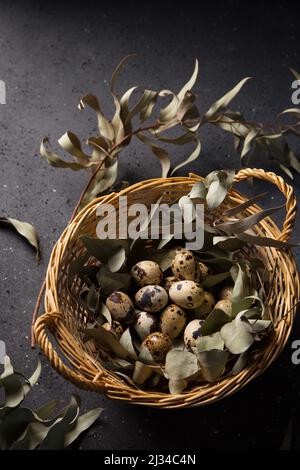 Wachteleier im Korb mit Eukalyptuszweigen Stockfoto