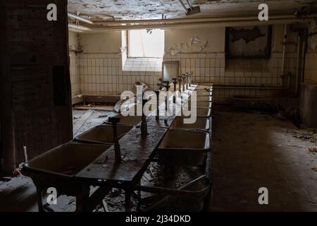 Eine Reihe alter Waschbecken in einem großen Badezimmer, das durch natürliches Fensterlicht beleuchtet ist. Verlassene öffentliche Gebäude mit leeren Einrichtungen. Die Farbe blättert von den Wänden. Stockfoto