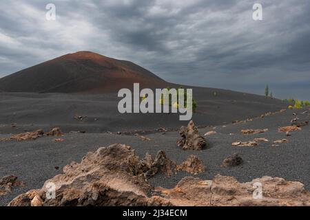 Vulkan Chinyero, Zone Arena Negras, Teide Nationalpark, Teneriffa, Kanarische Inseln, Spanien, Europa Stockfoto