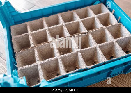 Leere Papierbox für Torf-Sämlinge Stockfoto