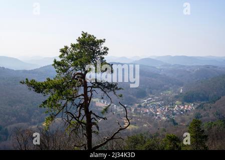 Blick über den Pfälzer Wald von der Ruine Madenburg in der Südpfalz Stockfoto