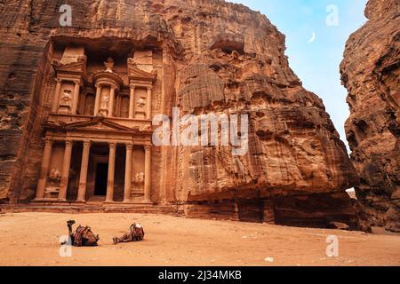 Zwei Kamele, die für Touristen bereit sind, sitzen vor Al-Khazneh (Schatzkammer-Tempel - Hauptattraktion) in der verlorenen Stadt Petra Stockfoto