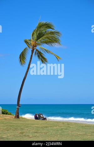 Landschaftliche Eindrücke vom berühmten Honolulu, Oahu HI Stockfoto
