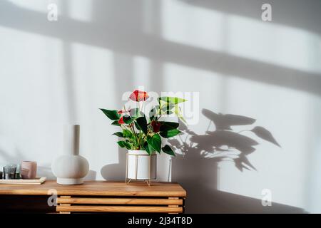 Moderne Einrichtung im minimalistischen skandinavischen Stil. Kerzen, Keramikvase und House Pflanzen rotes Anthurium in einem Topf auf einer Holzkonsole unter Sonnenlicht und Sha Stockfoto