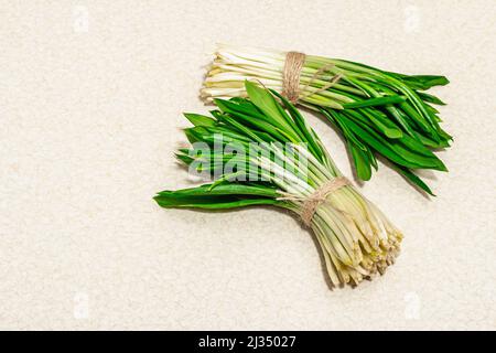 Trauben einer frischen Ernte von Frühlingsramson oder wildem Lauch. Duftende würzige Blätter auf hellem Steinbeton-Hintergrund, hartes Licht, dunkler Schatten, Kopie-Spac Stockfoto