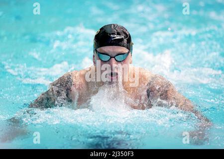 Adam Peaty von Loughborough NC beim Men's Open 100m Breaststroke Final am ersten Tag der British Swimming Championships 2022 im Ponds Forge International Swimming Center, Sheffield. Bilddatum: Dienstag, 5. April 2022. Stockfoto