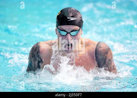 Adam Peaty von Loughborough NC beim Men's Open 100m Breaststroke Final am ersten Tag der British Swimming Championships 2022 im Ponds Forge International Swimming Center, Sheffield. Bilddatum: Dienstag, 5. April 2022. Stockfoto