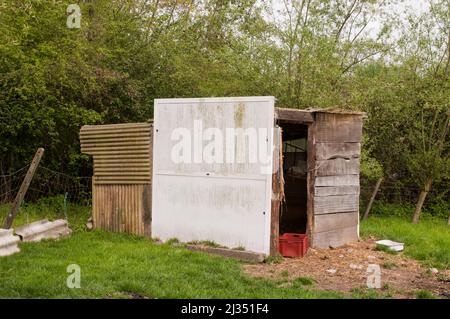 Tierheim für Nutztiere auf landwirtschaftlichen Flächen Stockfoto