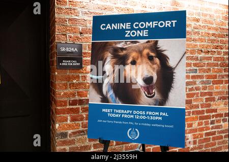 Washington, Usa. 05. April 2022. Schild mit der Werbung, dass Therapiehunde im Capitol verfügbar sein werden. Kredit: SOPA Images Limited/Alamy Live Nachrichten Stockfoto