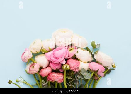 Bouquet von Ranunculus Blumen auf blauem Hintergrund. Muttertag, Valentinstag, Geburtstagskonzept Stockfoto