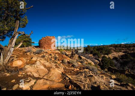 Cave Towers Ruinen in Bears Ears National Monument. Diese Strukturen reichen bis 1200 - 1350 u.Z. zurück. Viele archäologische Stätten sind hier gefunden. Stockfoto