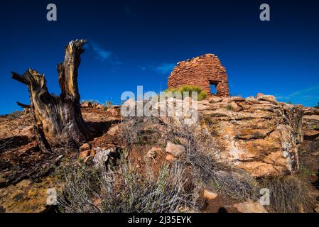 Cave Towers Ruinen in Bears Ears National Monument. Diese Strukturen reichen bis 1200 - 1350 u.Z. zurück. Viele archäologische Stätten sind hier gefunden. Stockfoto