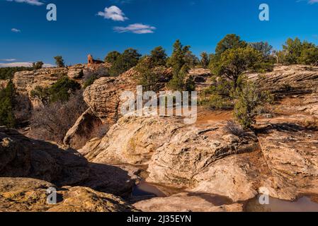 Cave Towers Ruinen in Bears Ears National Monument. Diese Strukturen reichen bis 1200 - 1350 u.Z. zurück. Viele archäologische Stätten sind hier gefunden. Stockfoto