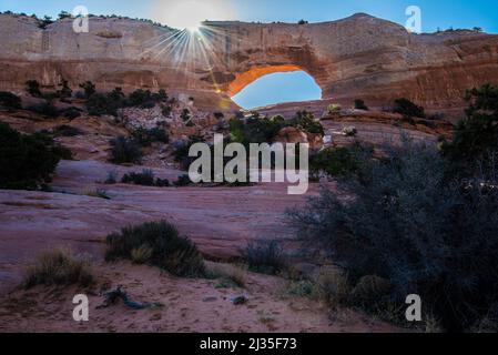 Wilson Arch im Südosten von Utah, USA. Natürliche Bögen werden durch den Wind und das Wetter über Äonen hinweg geschaffen. Stockfoto