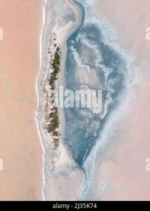 Form des Buchstabens D in der Natur Stockfoto