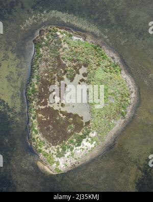 Form des Buchstabens D in der Natur Stockfoto