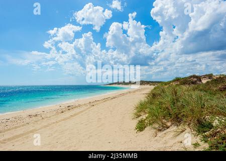 Einsamer Strand am türkisfarbenen Wasser des Indischen Ozeans am Sandy Cape, Jurien Bay, Western Australia, WA, Australien Stockfoto