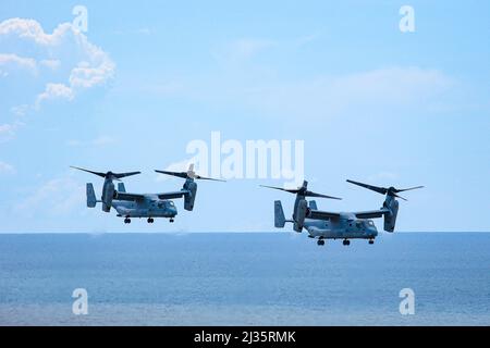 USAF Bell Boeing V-22 Osprey Stockfoto