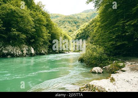 Der Fluss eines azurblauen, schnellen Gebirgsflusses zwischen einem Wald an einem felsigen Ufer. Wilde Natur Hintergründe Stockfoto