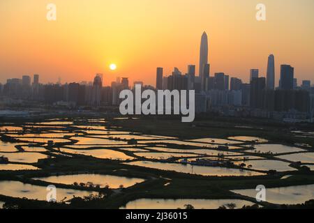 Shenzhen Skyline , mit Wolkenkratzern und Büro gegenüber Fischfarm oder Fischteichen, während dramatischen Moment am Abend, aus dem Blick auf die Grenze von Hong K Stockfoto