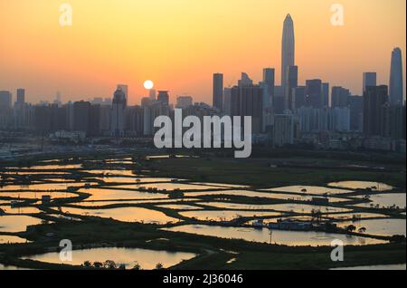 Shenzhen Skyline , mit Wolkenkratzern und Büro gegenüber Fischfarm oder Fischteichen, während dramatischen Moment am Abend, aus dem Blick auf die Grenze von Hong K Stockfoto