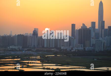 Shenzhen Skyline , mit Wolkenkratzern und Büro gegenüber Fischfarm oder Fischteichen, während dramatischen Moment am Abend, aus dem Blick auf die Grenze von Hong K Stockfoto